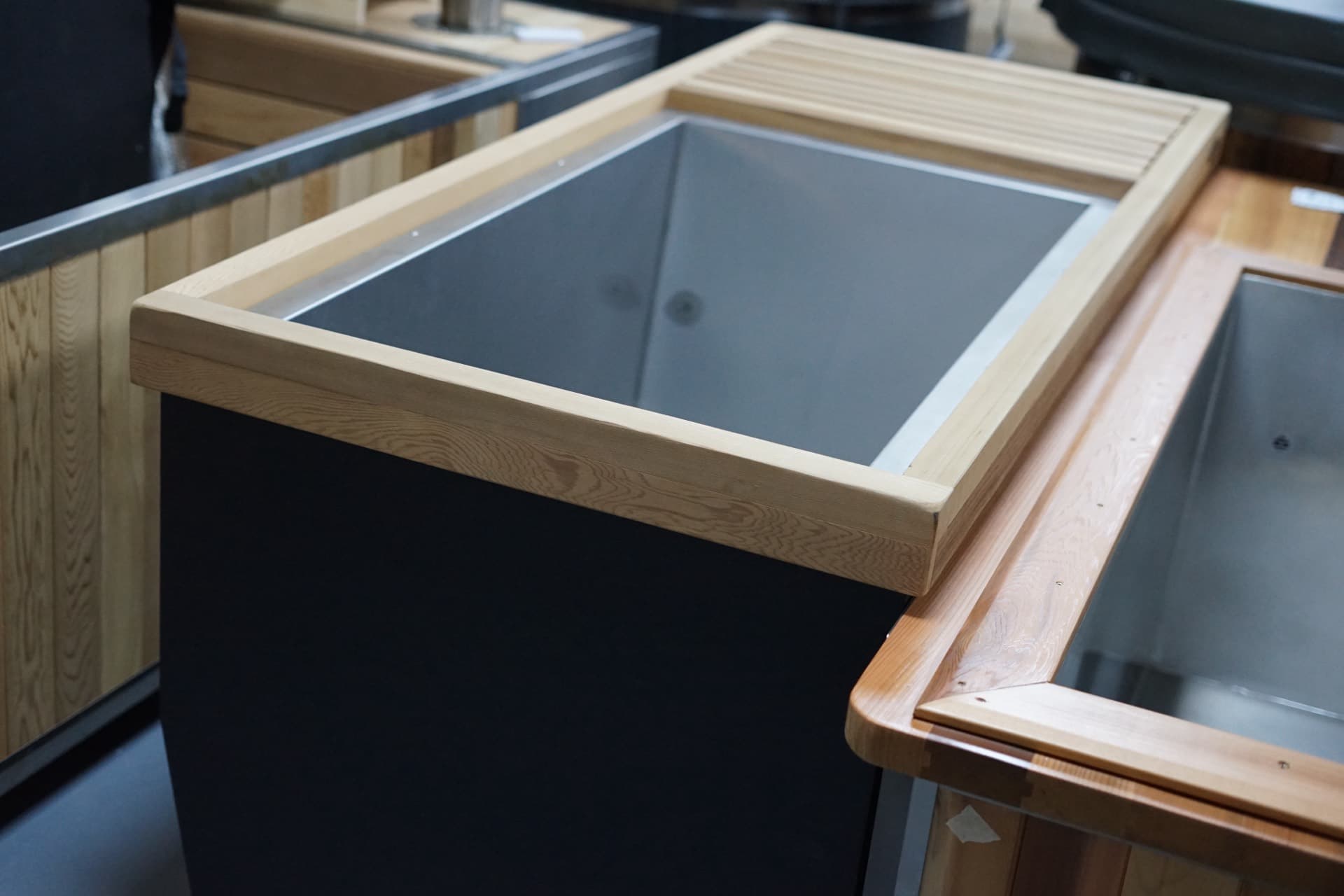 Angled view of the plunge interior and cedar rim